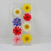 Pressed flower iphone 4s case real flower iphone 5 5s 5c case, colorful daisy and Larkspur iphone 6 case, real flower S2 S3 S4 mini S5 LG G2 M7 z10 case