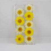 Pressed flower iphone 6 case real flower iphone 5 5s 5c case, white yellow daisy iphone 4s case, real flower S2 S3 S4 mini S5 LG G2 M7 z10 case